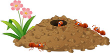 Cartoon Ants Colony And Ant Hill

