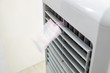 Evaporative air cooler front running blown flick