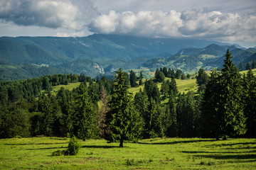 Wall Mural - Aerial view from the road in Carpathian Mountains in Transylvania