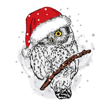 Owl In Christmas Hat. Vector Illustration For A Card Or Poster. Festive Pattern. New Year's And Christmas. Beautiful Bird.