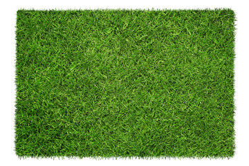 Wall Mural - Close up of green grass texture isolated on white