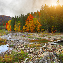 Wall Mural - View of mountain river at autumn time