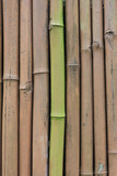 Fototapeta Sypialnia - Painted bamboo fence background