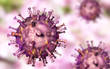 African swine fever virus, 3D illustration. DNA enveloped virus