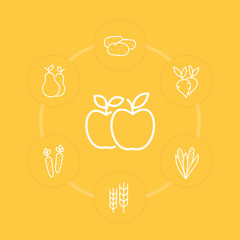 Sticker - Harvest line icons on yellow, apples, carrot, potato, pear, corn, vector illustration