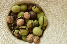 Various Walnuts - With And Without Green Shell

