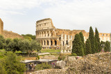 Fototapeta  - landscape of the Colosseum in Rome