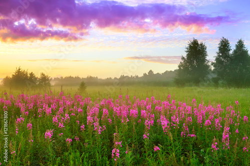 rural summer landscape with sunrise