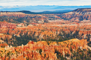 Sticker - Red sandstone hoodoos in Bryce Canyon National Park in Utah, USA