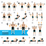 Dumbbell Exercises and Workouts WEIGHT TRAINING. Vector Illustra Stock  Vector