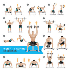 Dumbbell Exercises and Workouts WEIGHT TRAINING. Vector Illustra