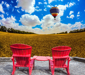 Huge balloon flies over a field