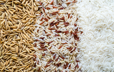 Wall Mural - Three rows of rice, paddy seed, brown rice, white (jasmine) rice. Food background.