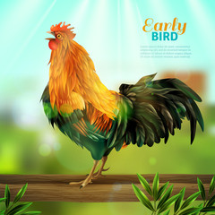 Poster - Rooster Vector Illustration