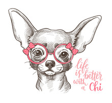 Girl Chihuahua Illustration Print. Cute Fashionable Dog Vector Sketch.