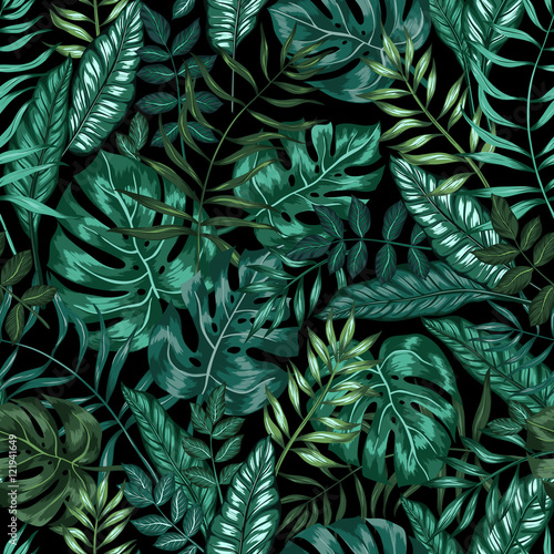 nowoczesne-liscie-monstera-z-ciemnym-tlem
