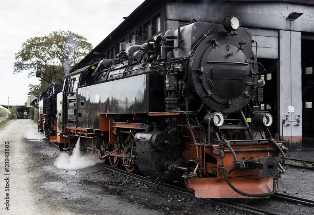 old steam train in germany - obrazy, fototapety, plakaty 