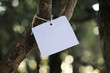 © Lucas Piaceski - Piece of paper hanging from a tree.
