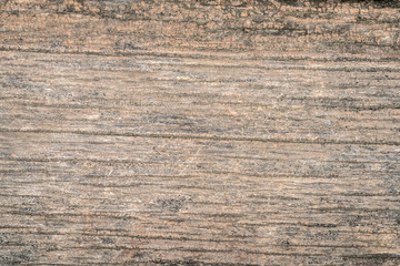 Wall Mural - Wood texture