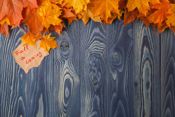 Wall Mural - autumn background. colorful leaves on a wooden background. autum