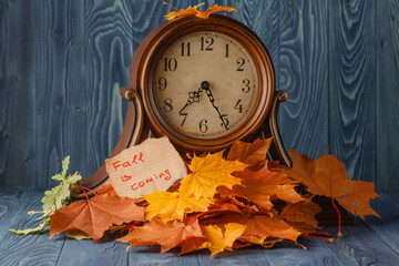 Wall Mural - autumn leaves over wooden background
