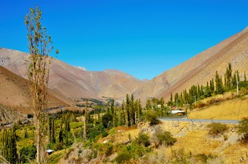 Long shot of the Elqui Valley with a street and a blue sky in Chile, South America