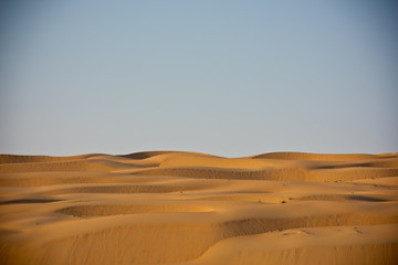 Wall Mural - Desert dunes in Liwa, United Arab Emirates