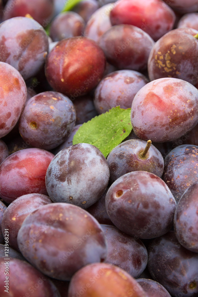 Stock-Foto „reife Zwetschgen mit Blatt“ | Adobe Stock