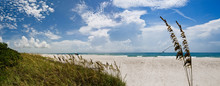 Coco Beach With Sea Oats