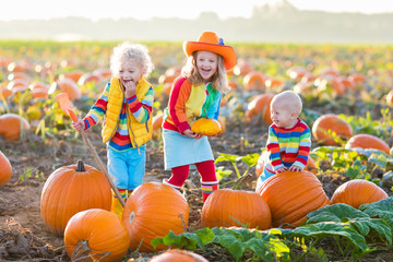 kids picking pumpkins on halloween pumpkin patch