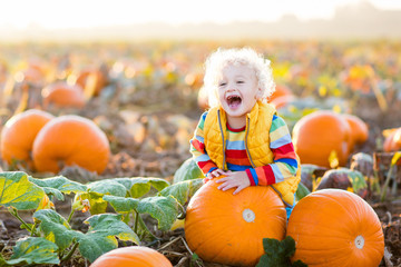 child playing on pumpkin patch