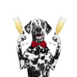 dog on a holiday with a glass of champagne