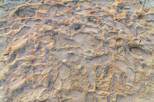 Foot Print And Shoe Print On The Sand At The Beach