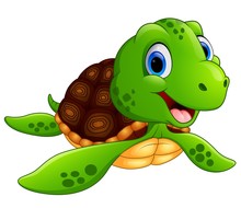 Happy Turtle Cartoon