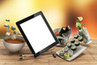 Online Japanese food delivery concept with sushi rolls on an ele