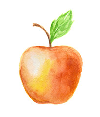 Wall Mural - Isolated watercolor red apple on white background. Fresh and sweet fruit. Organic and vegetarian nutrition.