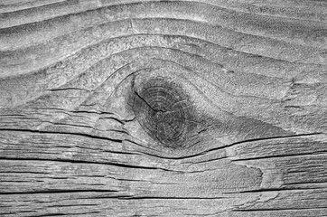 Wood texture natural. Lining boards wall. Wooden background pattern. Showing growth rings