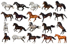 Horse Collection Isolated On White Background