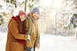 © pressmaster - Winter walk