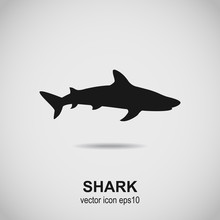 Shark Icon. Dogfish Black Silhouette. Vector Illustration.