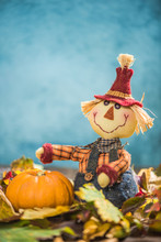 Funny Scarecrow Harvesting Pumpkins