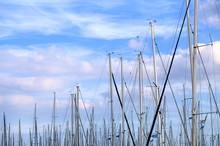 Masts In Front Of The Sky