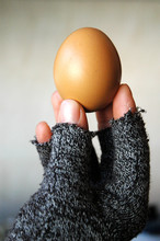Close-up Of Person Holding Brown Egg