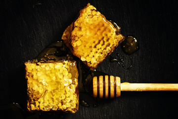 Bee honeycomb, dark background, top view