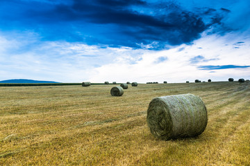 Wall Mural - Baled Hay Rolls at Sunset