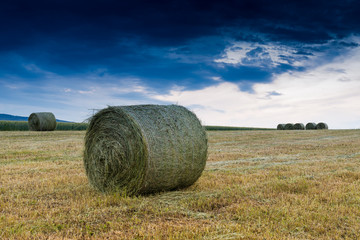 Wall Mural - Baled Hay Rolls at Sunset