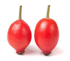 two rose hip berry isolated on white background