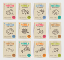 Canvas Print - hand drawn vegetables posters set