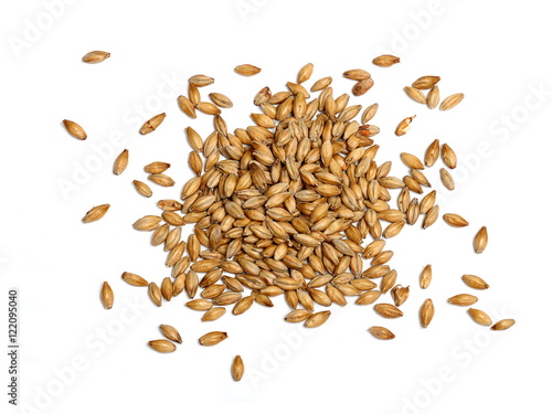 Fotomural Malted Barley on White Background