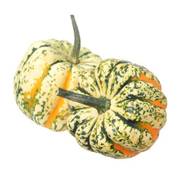 Wall Mural - mini pumpkins